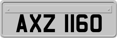 AXZ1160