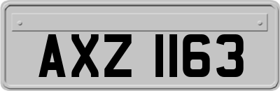AXZ1163