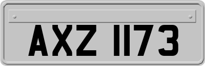 AXZ1173