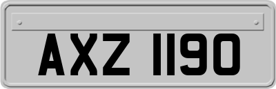 AXZ1190