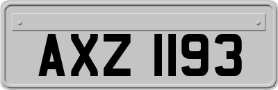 AXZ1193
