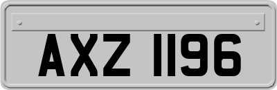 AXZ1196