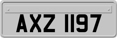 AXZ1197