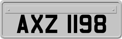 AXZ1198