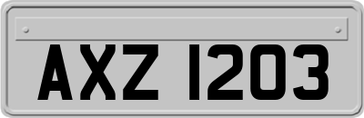 AXZ1203