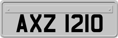 AXZ1210