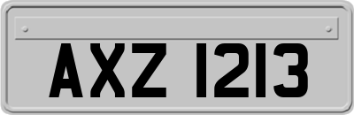 AXZ1213