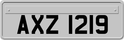 AXZ1219