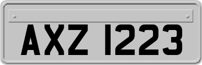 AXZ1223