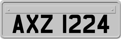 AXZ1224