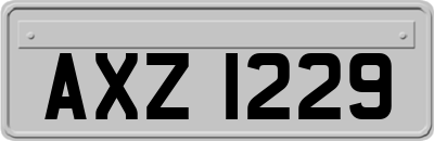 AXZ1229