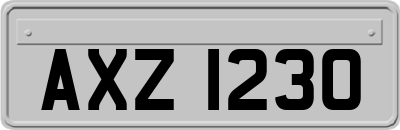 AXZ1230