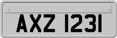 AXZ1231