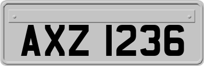 AXZ1236