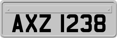 AXZ1238