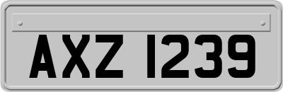 AXZ1239