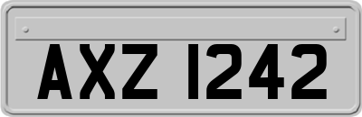 AXZ1242