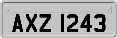 AXZ1243