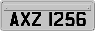 AXZ1256