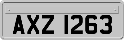 AXZ1263