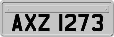 AXZ1273