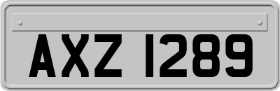 AXZ1289
