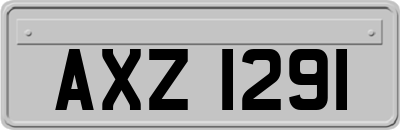 AXZ1291
