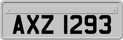 AXZ1293