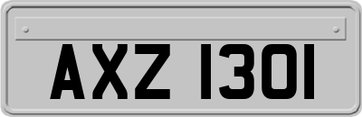 AXZ1301