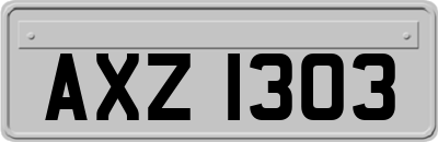 AXZ1303