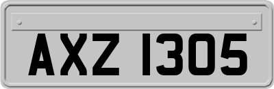 AXZ1305