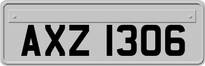AXZ1306