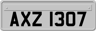 AXZ1307