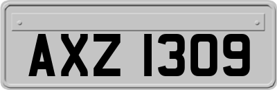AXZ1309