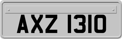 AXZ1310