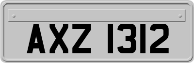 AXZ1312