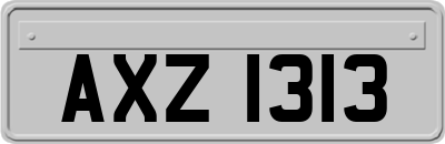 AXZ1313