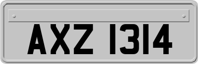 AXZ1314