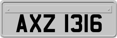 AXZ1316