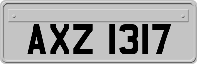 AXZ1317