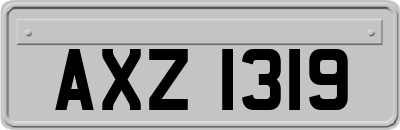 AXZ1319