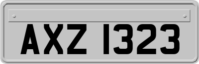 AXZ1323