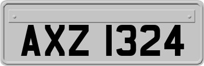 AXZ1324