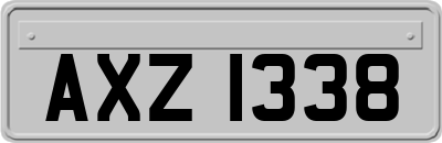 AXZ1338