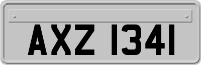 AXZ1341