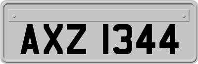 AXZ1344