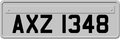 AXZ1348