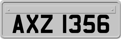 AXZ1356