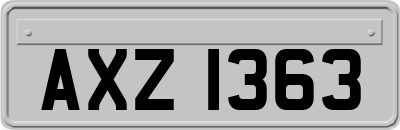 AXZ1363