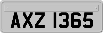 AXZ1365